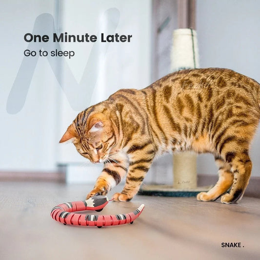 (😸Mother's Day Hot Sale 48% OFF)Cat Toys Automatic Electronic Snake😻Buy 2 Free Shipping