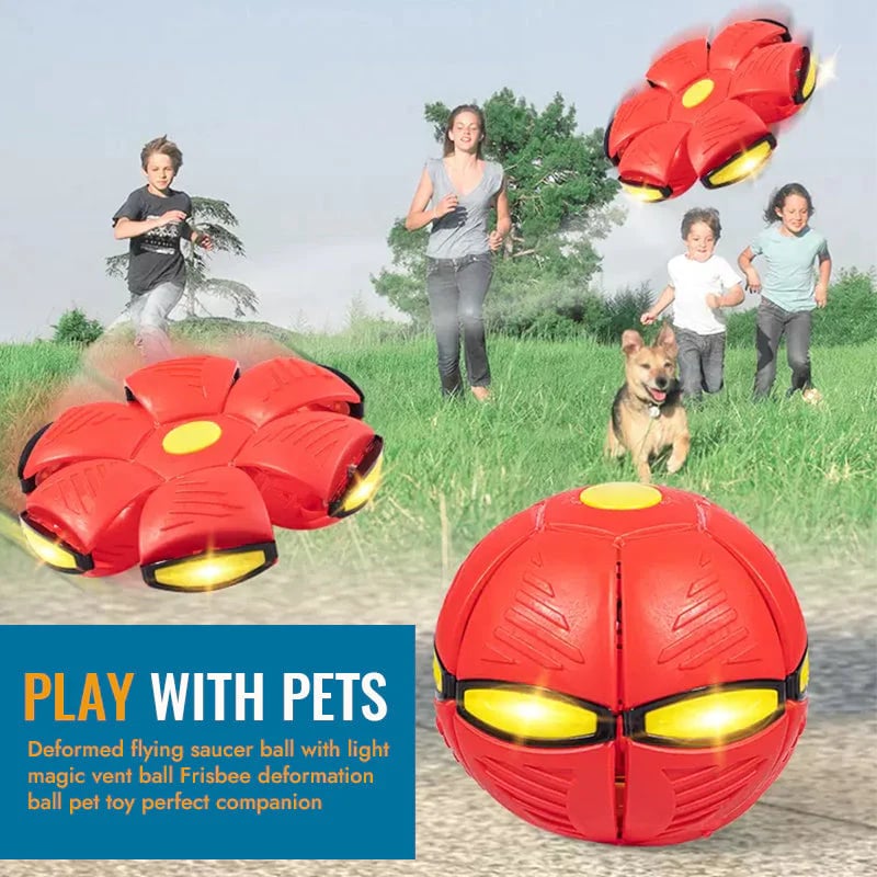 2024 Hot Sale⚽Pet Toy Flying Saucer Ball(49% OFF & BUY 2 FREE SHIPPING🔥)