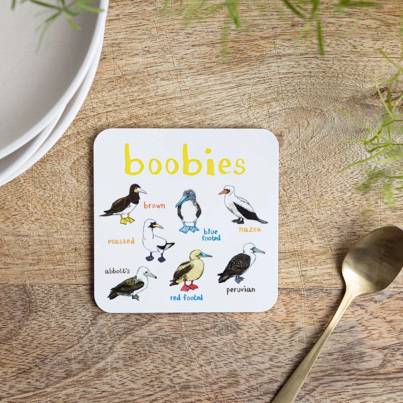 Last Day 47% OFF🐦Set of 6 Bird Pun Coasters