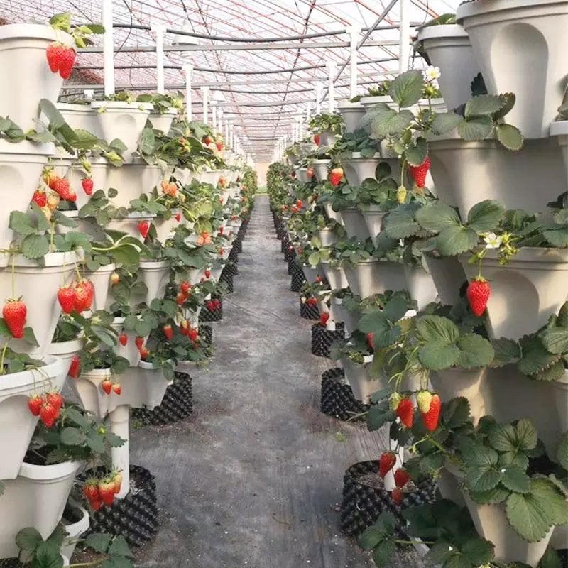 🌼Plant Festival Special - Stand Stacking Planters Strawberry Planting Pots