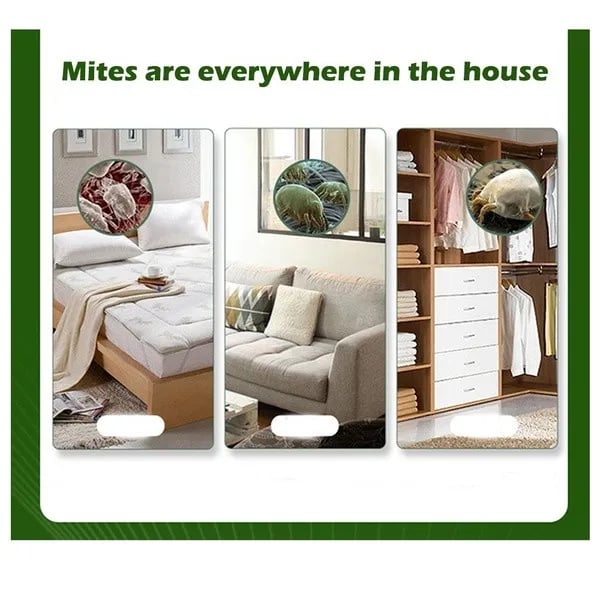 🔥BUY MORE SEND MORE🔥-All-Natural Dust Mites Killer(6PCS)