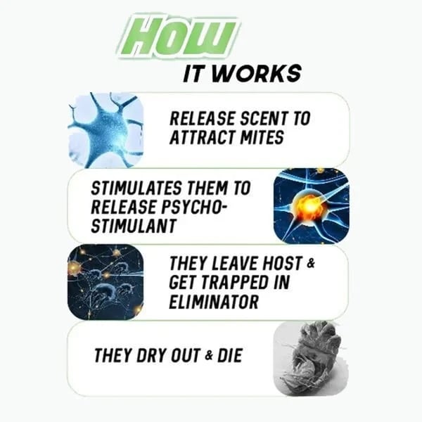 🔥BUY MORE SEND MORE🔥-All-Natural Dust Mites Killer(6PCS)