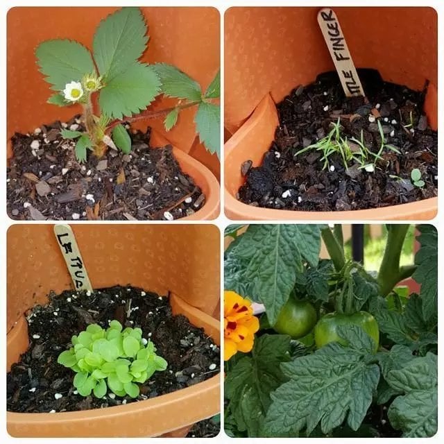 🌼Plant Festival Special - Stand Stacking Planters Strawberry Planting Pots