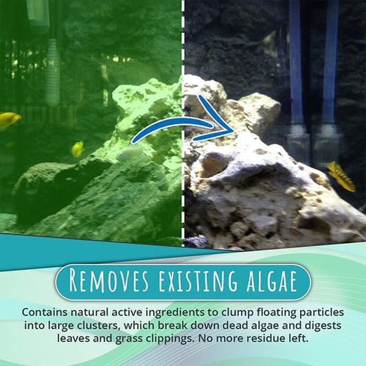🔥Limited Time Sale 48% OFF🎉NEW Algae Repellent Agent