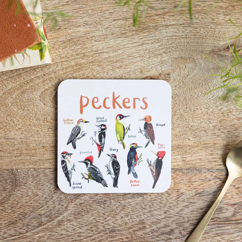 Last Day 47% OFF🐦Set of 6 Bird Pun Coasters