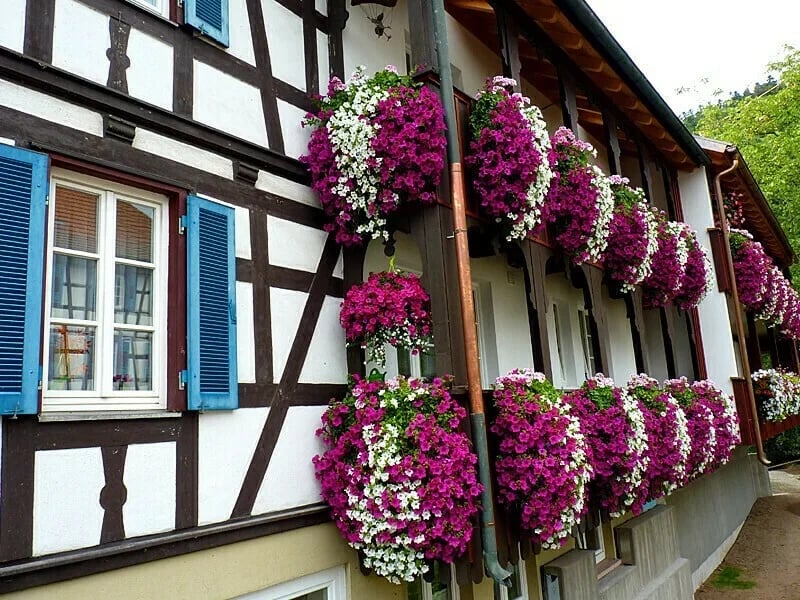 🌺Vivid Artificial Hanging Orchid Bunch🌷