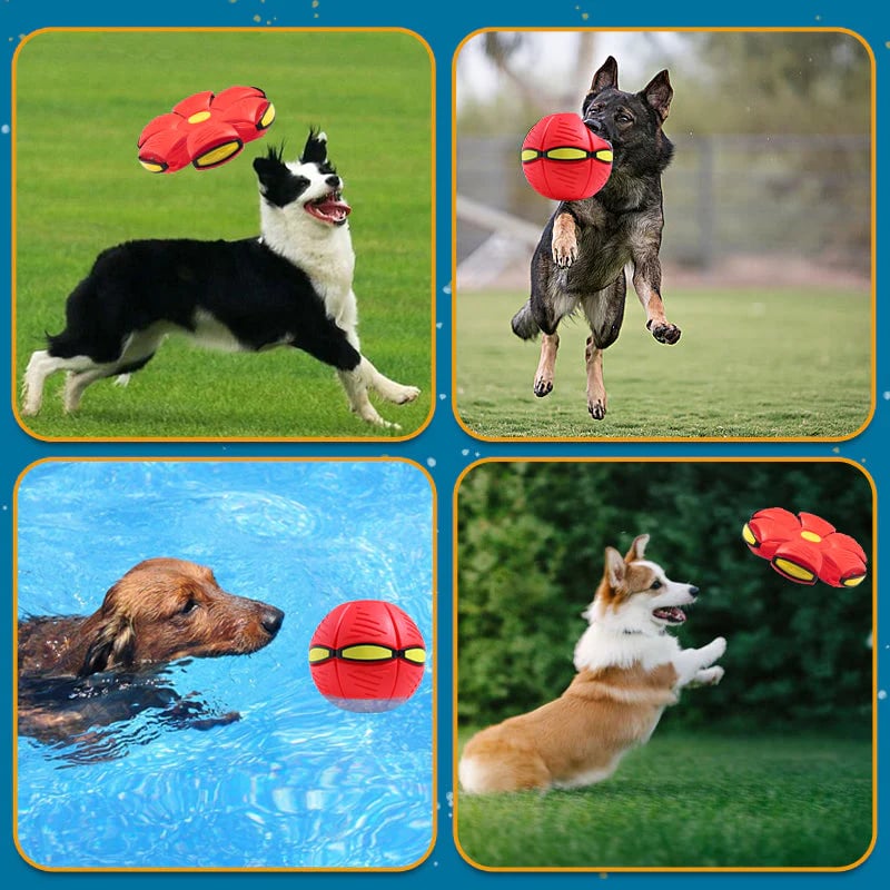 2024 Hot Sale⚽Pet Toy Flying Saucer Ball(49% OFF & BUY 2 FREE SHIPPING🔥)